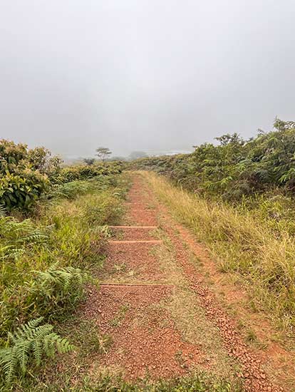 Sendero a la laguna el Junco.
