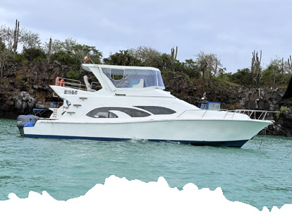 Ferry para viajes entre islas.